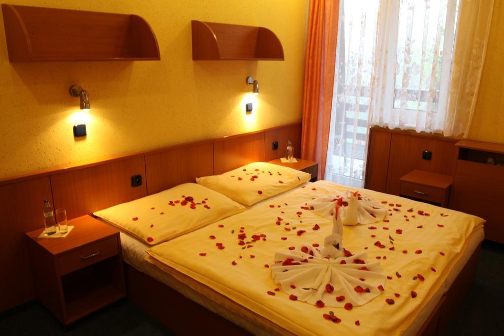 Hotel Odra オストラヴィツェ 部屋 写真